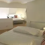 The 5 Lofts